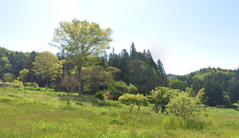 岩手県花巻市　山林