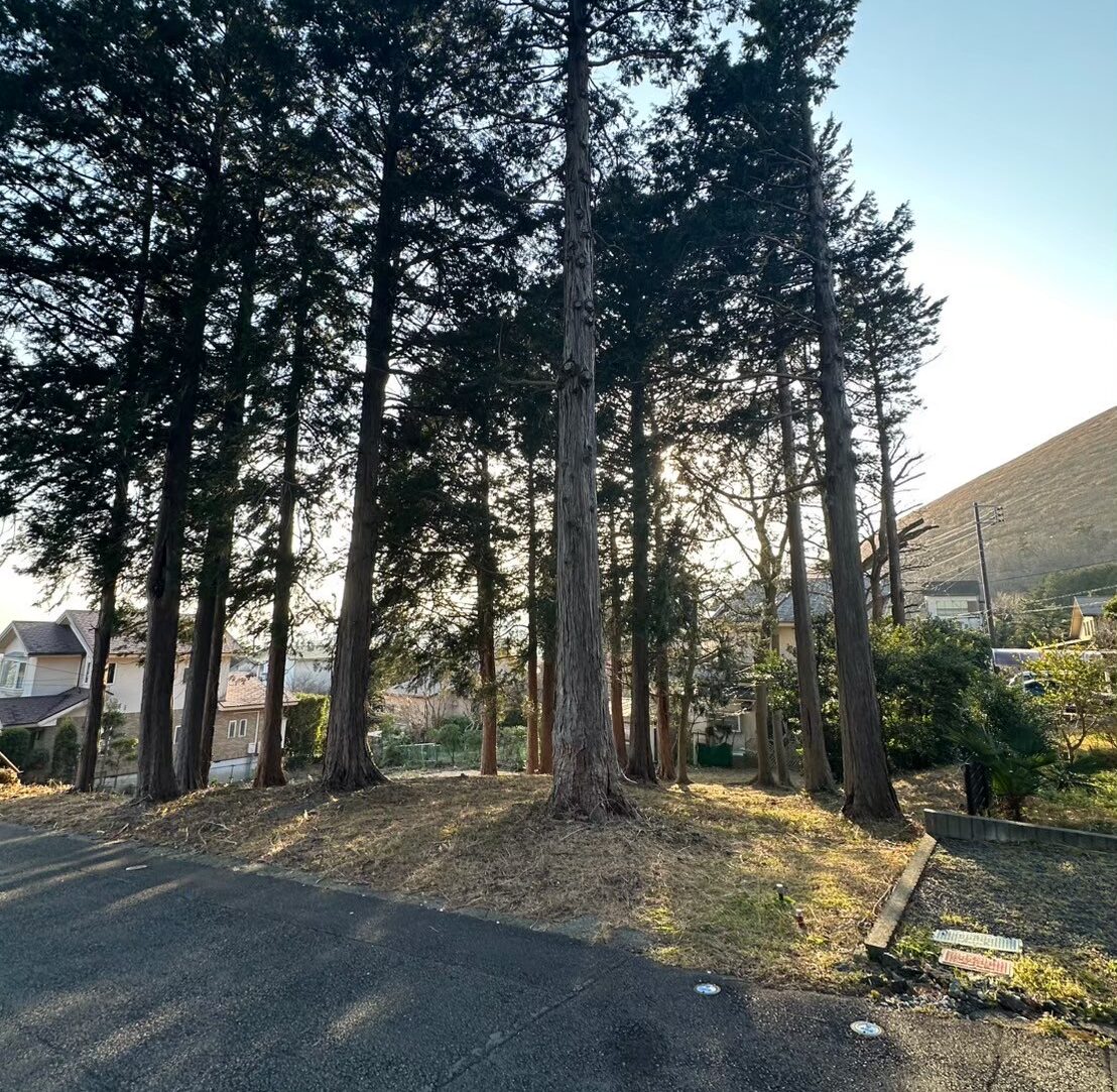 静岡県伊東市山林の画像です。