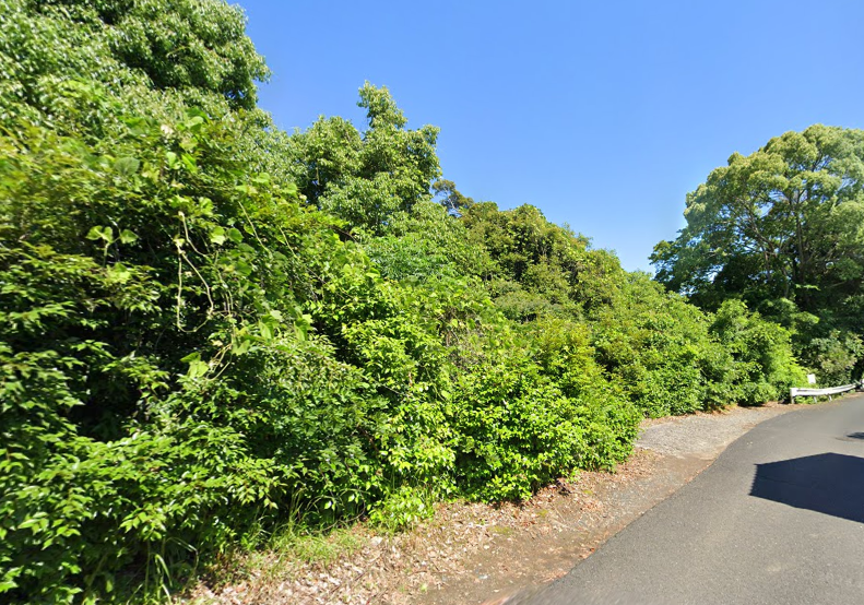 福岡県豊前市山林の画像です。