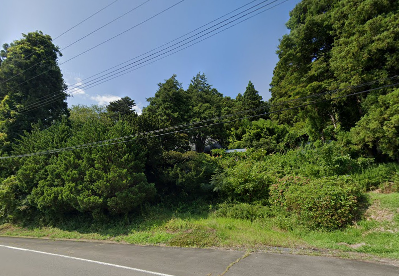 宮城県登米市山林の画像です。