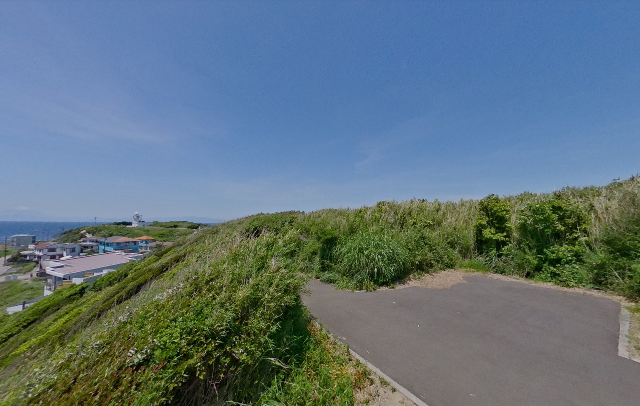 神奈川県三浦市山林の画像です。